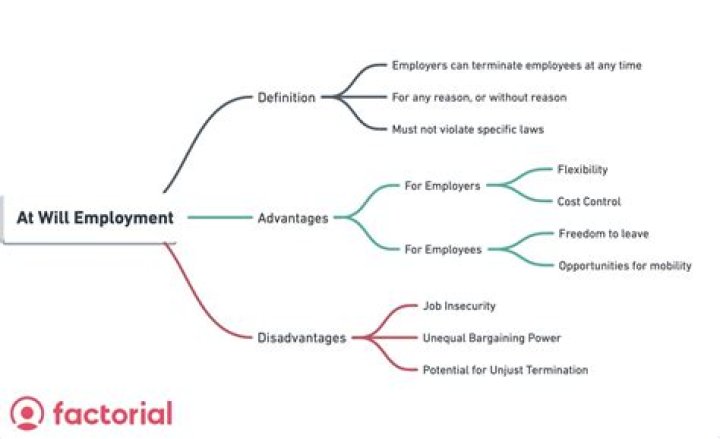 Why is employment at will good?